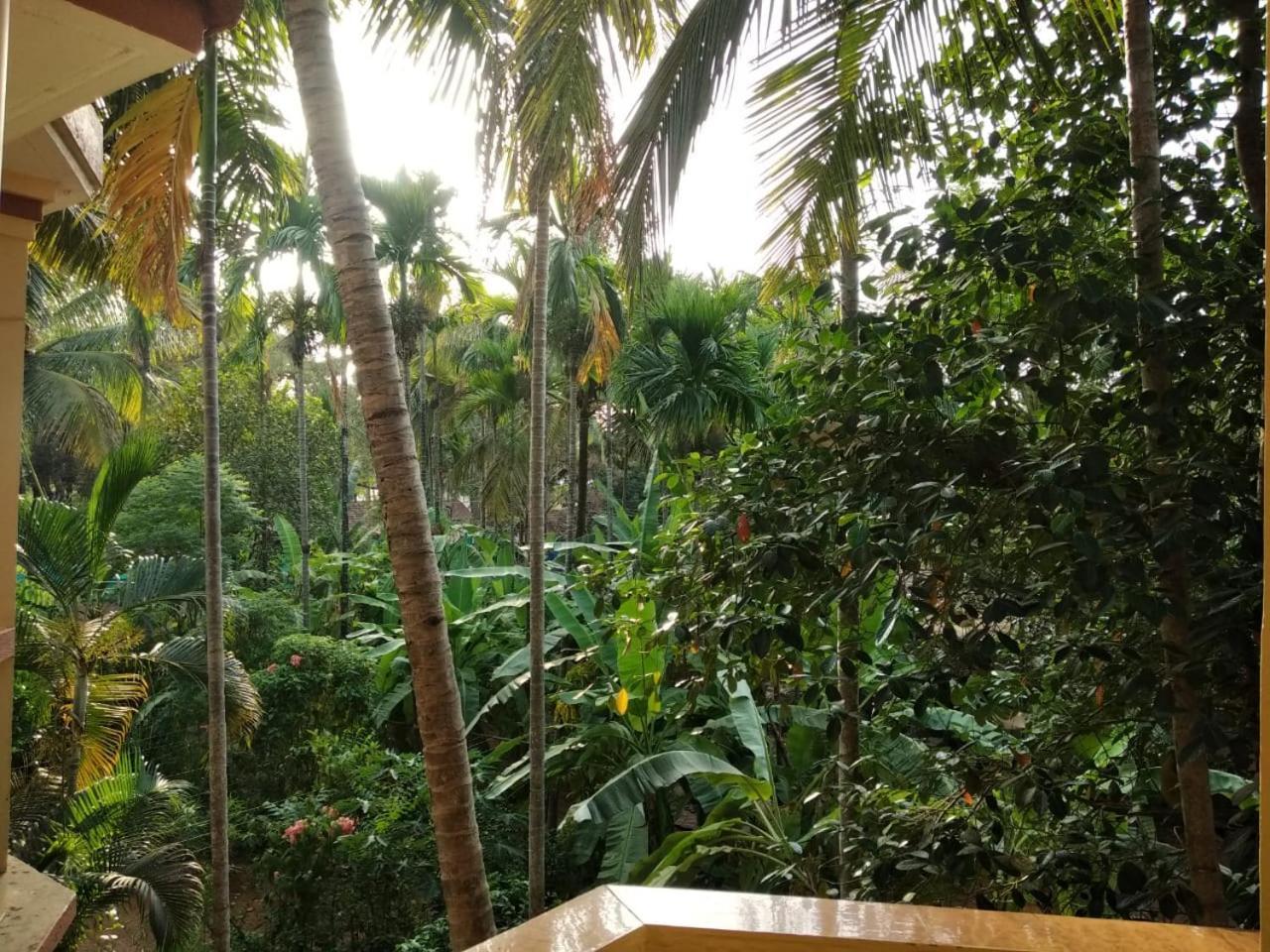 Indraprasth Apartment Palolem Exterior foto